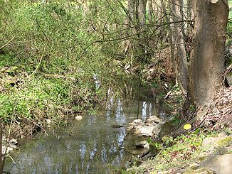 De Kerkerbach tussen Lahr en Heckholzhausen