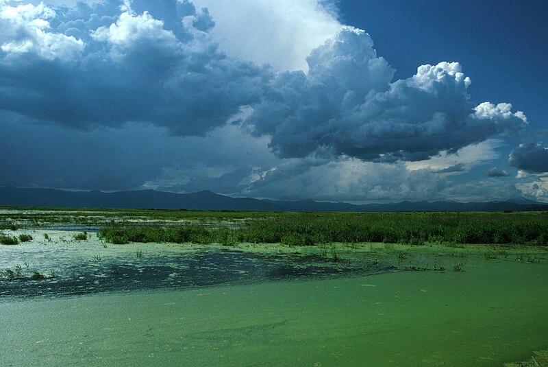 File:Klamath Basin landscape.jpg