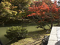 Pond in garden at Kōdai-ji