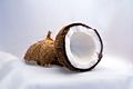 Kokosnuss-Coconut.jpg