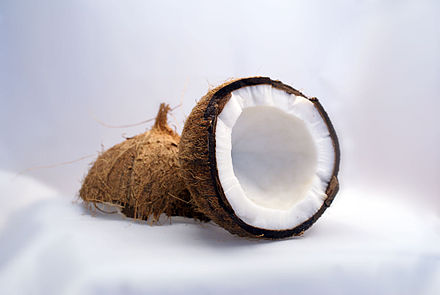 Coconut. Кокос. Текстура кокоса. Кокос фактура. Мышь из кокоса.