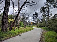 Koomba Park trail.jpg