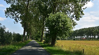 Le Krinkeldijk (nl) à Hoeke