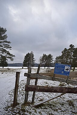 Bilväg till Kroksjön