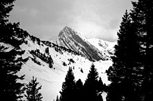 Photographie en noir et blanc d'un vallon enneigé parsemé d'arbres et, en arrière-plan, une montagne avec un versant incliné.