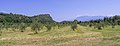 * Nomination Olive orchardLa Rocca peak and Punta Sasso in Manerba del GardaI. --Moroder 09:44, 8 August 2020 (UTC) * Promotion  Support Good quality. --MB-one 10:26, 8 August 2020 (UTC)