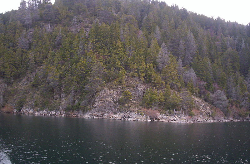 File:Lago Lacar,Neuquén.jpg