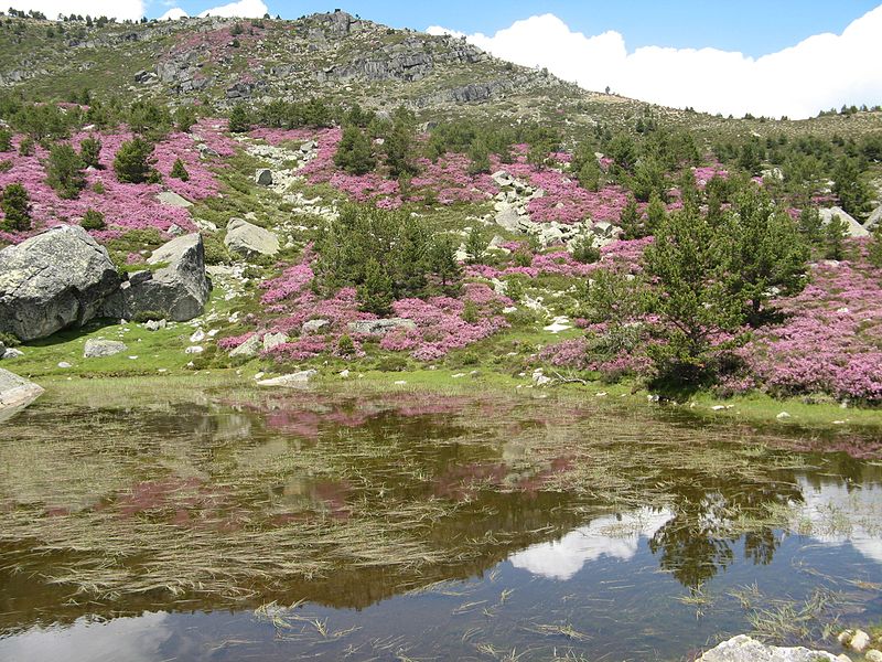 File:Lagunas del Castillo de Vinuesa.jpg