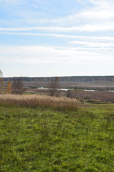 File:Landscape near Gulyanka (tributary of Uzh River) 2.JPG