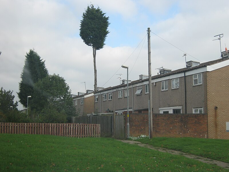 File:Listed Tree? (geograph 2108396).jpg