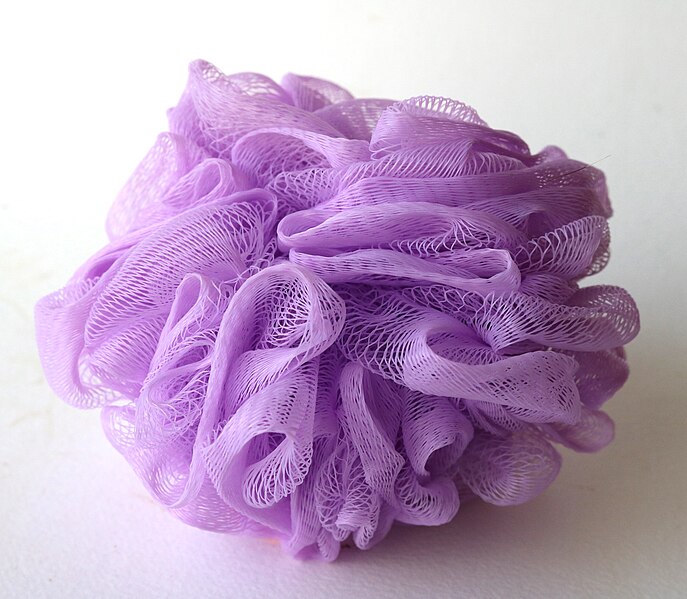 File:Loofah Reference -15.jpg