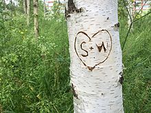 Lovers' carving on a tree in Vilnius, Lithuania Lovers' carving.jpg