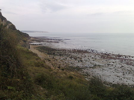 Luccombe Bay