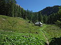 Cabane du Plan Bas, 1850 m d'altitude, dans le vallon de Laverq, commune de Méolans-Revel, Alpes-de-Haute-Provence