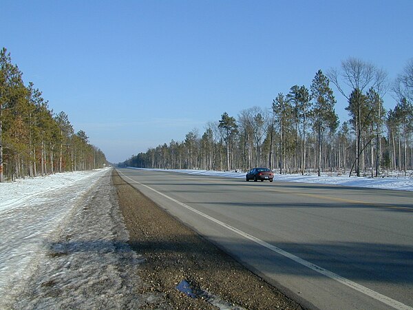 Looking east in the Huron National Forest