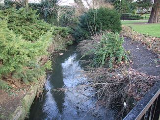 The River Len at Maidstone