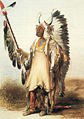 A Mandan chief (Matô-Tope)