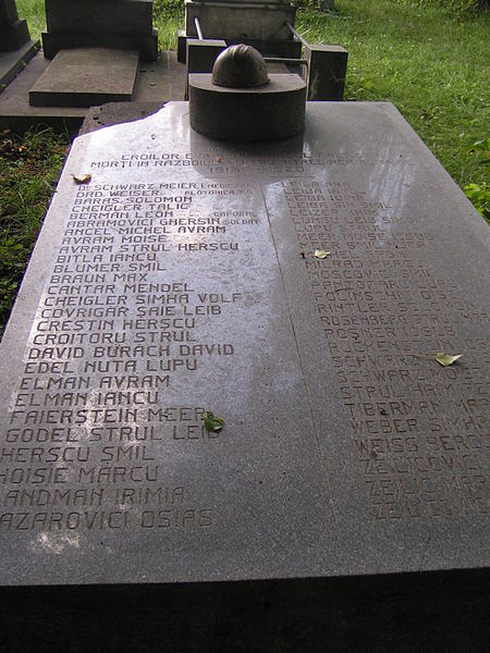 File:Memorial for the Jewish martyrs of Falticeni in 1916-1920.jpg