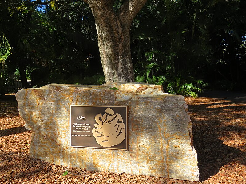 File:Memorial to the elephant Tricia at Perth Zoo, June 2023 01.jpg