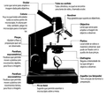 Microscópio Óptico.png