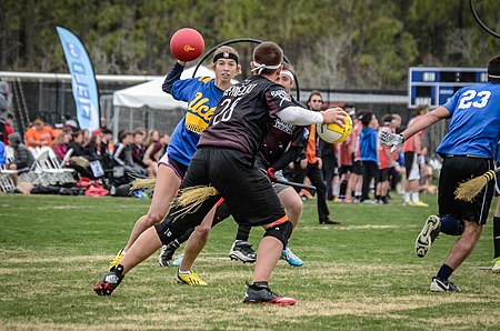 Quidditch (thể thao)