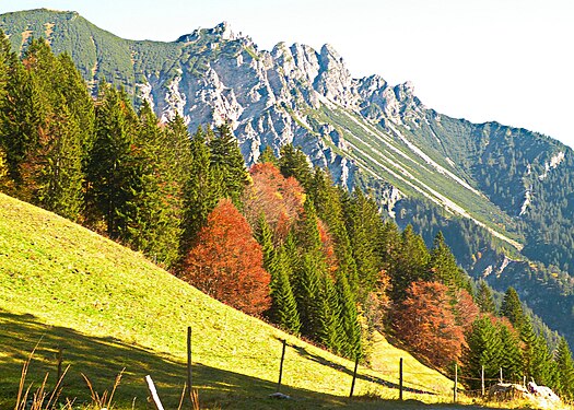 Die Sonnenterrasse von Bludenz-Nüziders