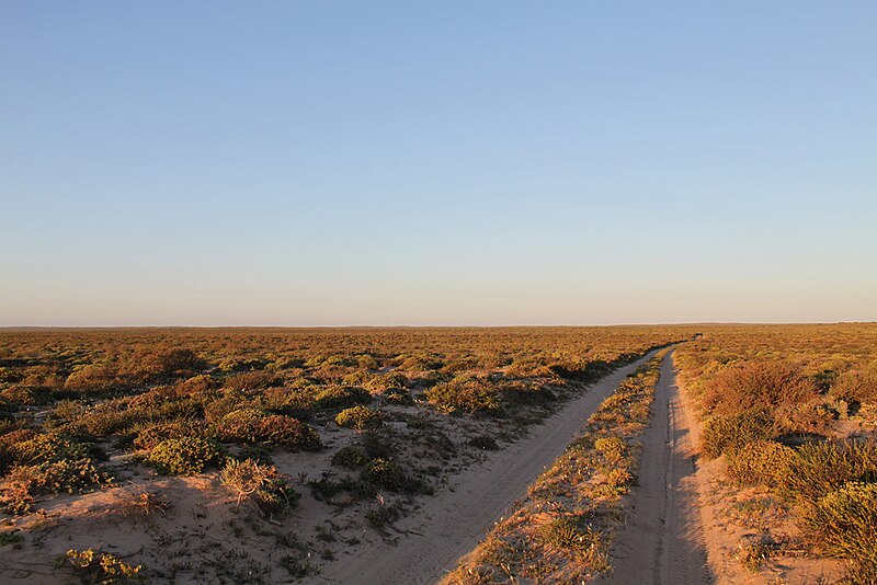 File:Namaqualand Desert Road.jpg