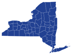 Resultaten van de Democratische presidentsverkiezingen in New York per provincie, 2020.svg