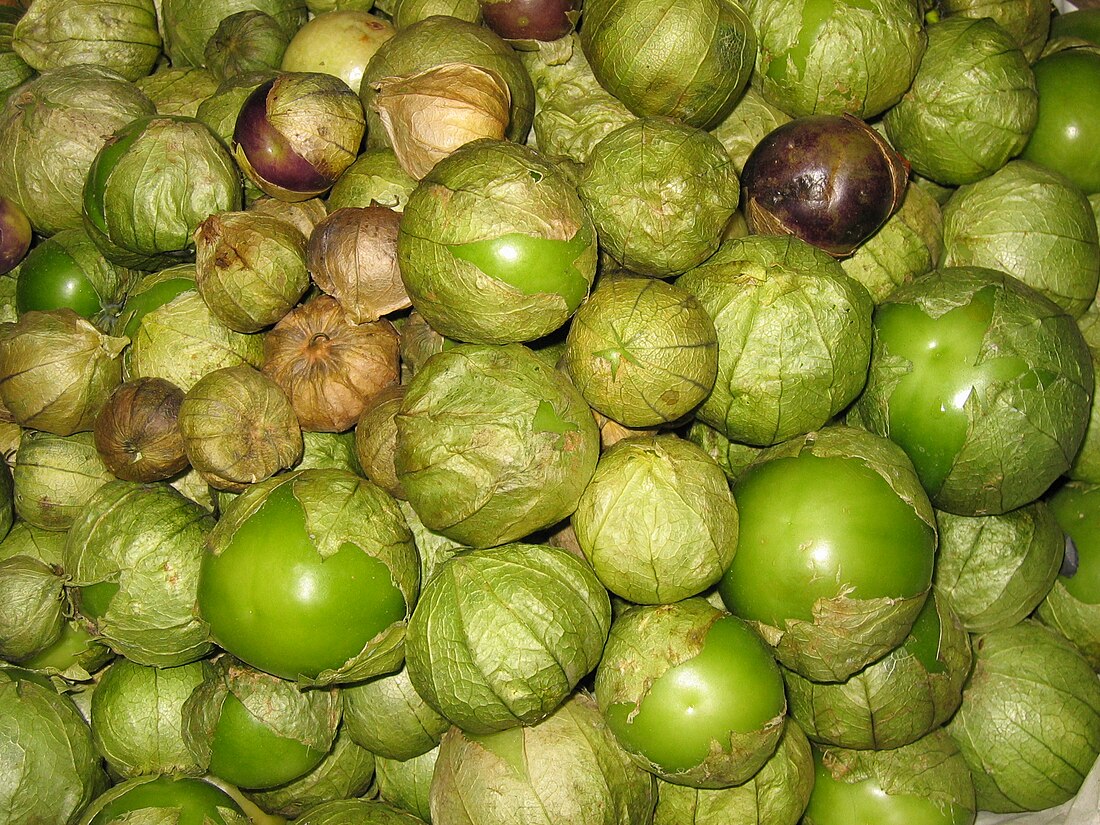 Tomatillo