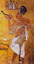 Aj, Ehnatonov in Tutankamonov vezir in Nefretitin oče. Po Tutankamonovi smrti se je poroči s svojo vnukinjo Anhesenamon in postal faraon