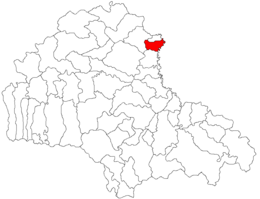 Ormeniș - Carte