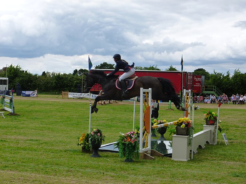 File:Over the water jump - Heckington Show 2016 - geograph.org.uk - 5057667.jpg