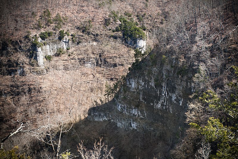 File:Ozark Cliffs (13170772513).jpg