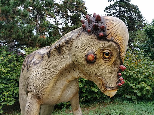 Pachycephalosaurus (3)