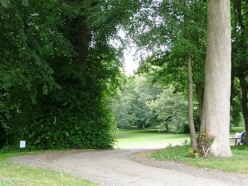 Parkland at Kiplin Hall - geograph.org.uk - 1963011