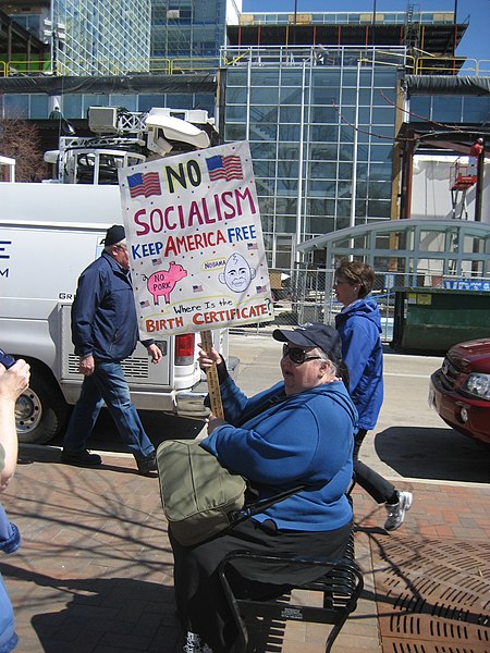 File:Person at Madison WI Tea Party.jpg