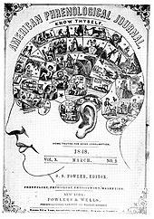 A page from the American Phrenological Journal Phrenology journal (1848).jpg