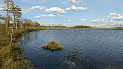 Järvinäkymä länsirannalta pohjoiseen