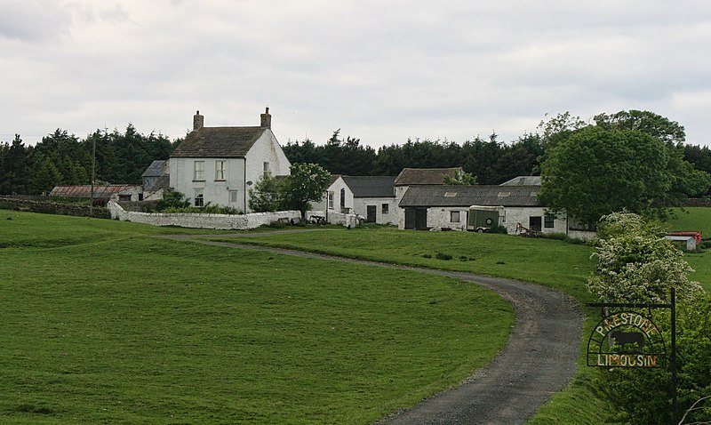 File:Pike Stone - geograph.org.uk - 1911185.jpg