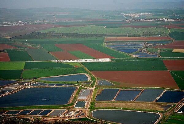 Agriculture in the Jezreel Valley