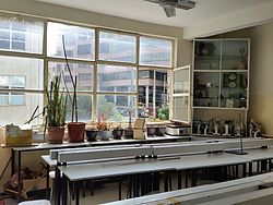 Plants in a Laboratory for High School Science, Addis Ababa.jpg