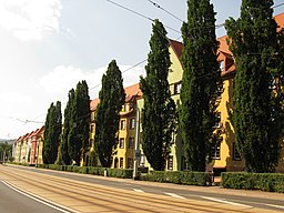 Plauen-Reusa, Röntgenstraße 29-03