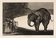 Prado - Los Disparates (1877) - Berbeda de bestia.jpg