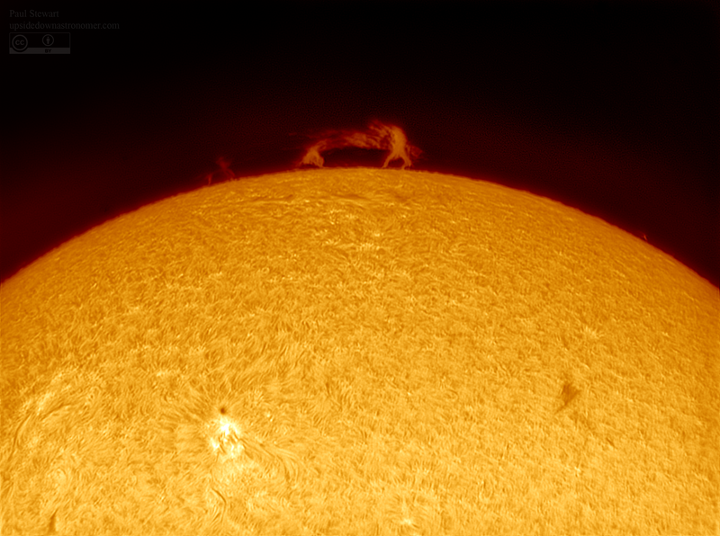 File:Prominence's on today's Sun (25341593431).png