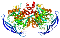 Ақуыз NUDT5 PDB 2dsb.png