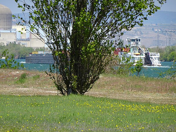 2 mai : RNN de l'Île de la Platière, par Celeda.