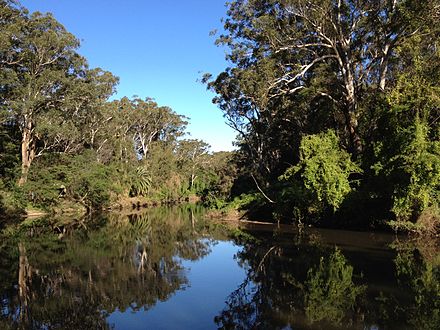 Lane Cove Tourist Park provides access to the peaceful Lane Cove River