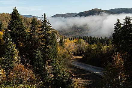 Fog sets in over the Küre Mountains