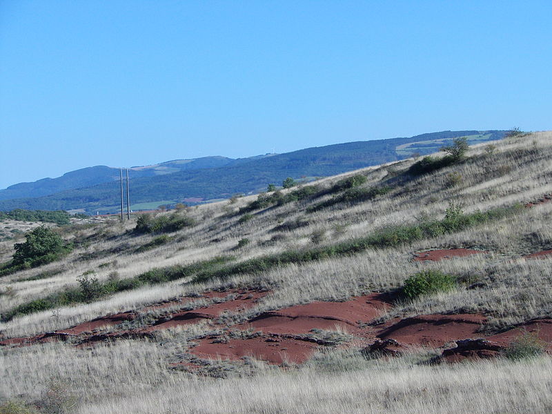 File:Rougier de Camarès 10.JPG