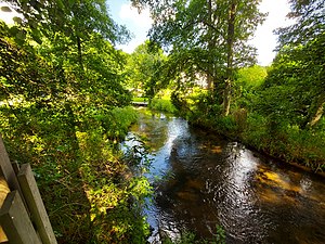 Rzeka Dobrzyca - Rudnica Kłębowiec gmina Wałcz.jpg